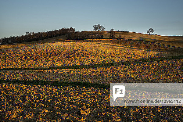 France  Occitanie  Lauragais  Haute Garonne  plowed fields