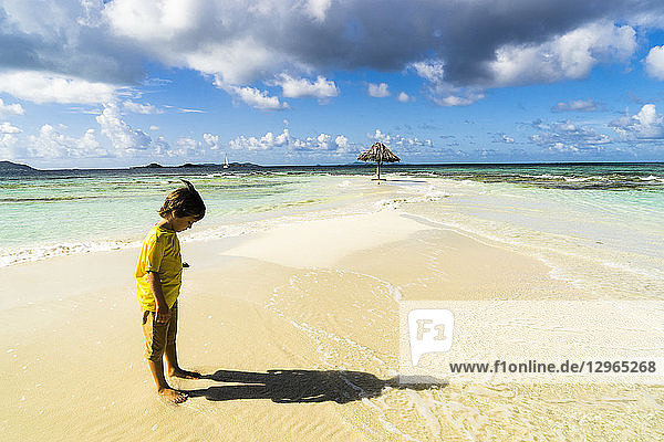 A boy 5 years old  standing on the Morpion's island beach  St-Vincent  Saint Vincent and the Grenadines  Lesser Antilles  West Indies  Windward Islands  Caribbean  Central America