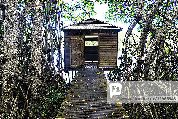 Ornithologische Hütte,  Saint-Louis,  Marie-Galante,  Guadeloupe,  Frankreich