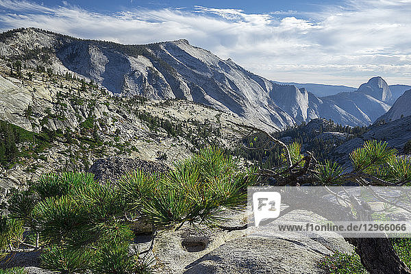 USA  Kalifornien  Yosemite-Nationalpark  Olmsted Point