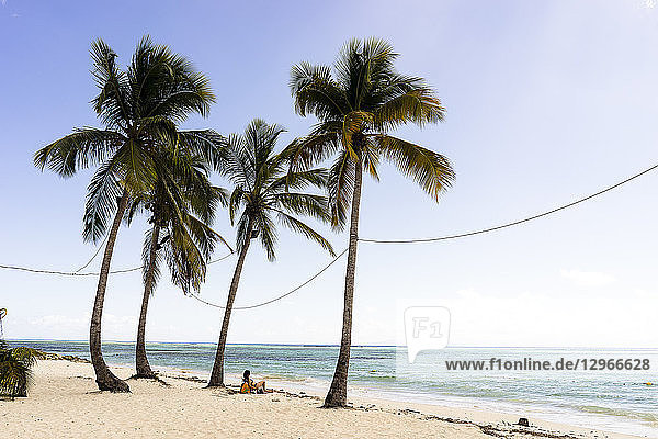 Eine Frau unter Kokospalmen vor dem Meer  Saint-Louis  Marie-Galante  Guadeloupe  Frankreich