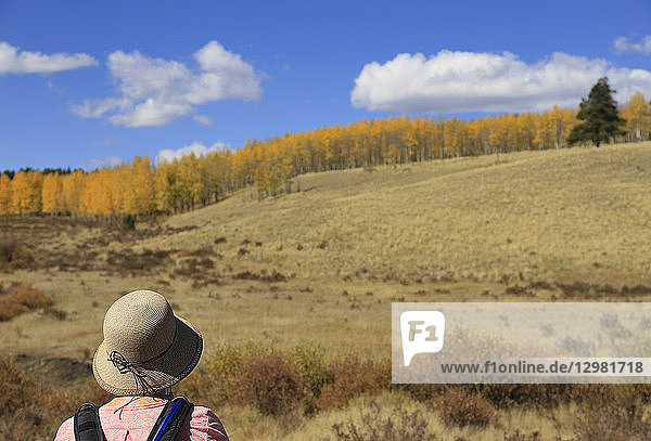Frau beim Wandern im Herbst am Kenosha Pass  Colorado