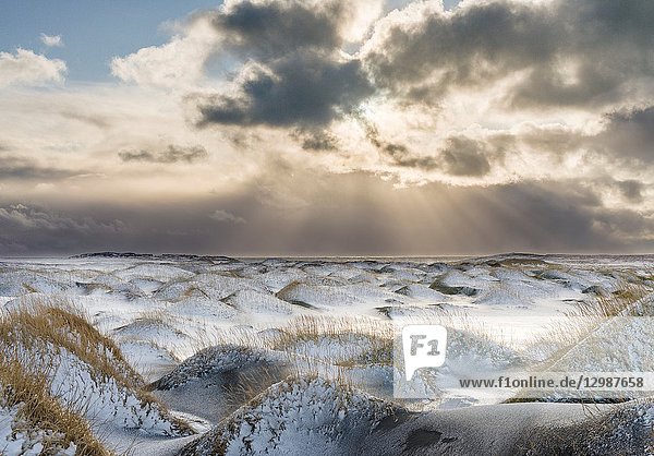 Coastal landscape with dunes at iconic Stokksnes during winter and stormy conditions. europe  northern europe  iceland  february.