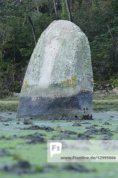 France,  Finistere,  Loctudy,  Penglaouic Menhir on Pont l'Abbe river