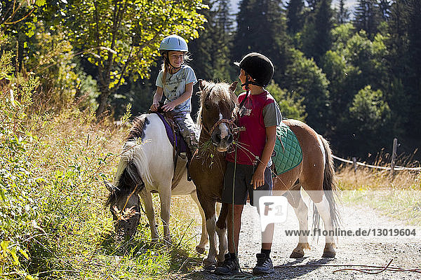 France,  Savoie,  Valmorel,  pony ride at Plan Parc (1430 m)