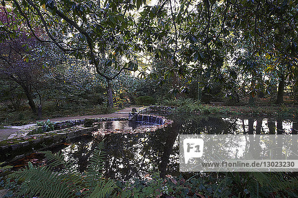 France,  Landes,  Dax,  Parc du Sarrat,  labelled Jardin remarquable (Remarkable Garden)