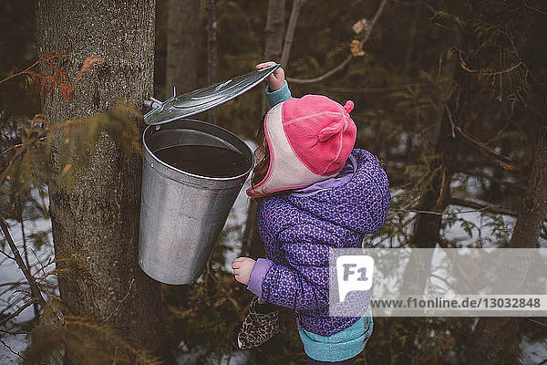 Girl in winter hat peering into forest tree bin