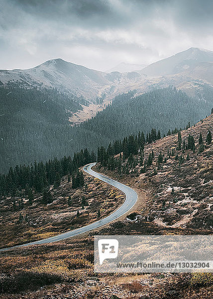 Winding road through forest  Aspen  Colorado  USA