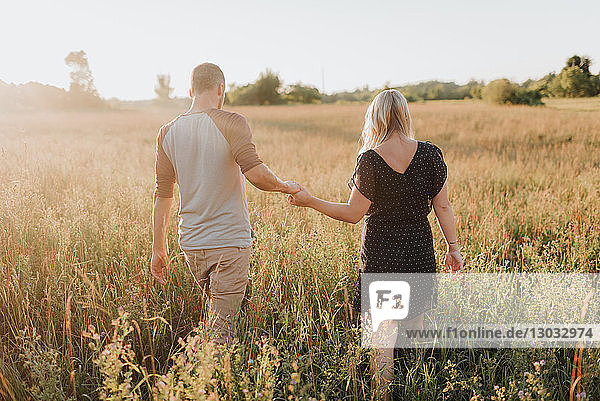 Romantischer Mann und Freundin beim Spaziergang im sonnenbeschienenen langen Grasfeld  Rückansicht
