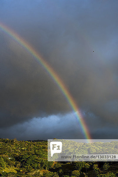 Regenbogen über dem Monteverde-Nebelwaldreservat bei Sonnenuntergang  Puntarenas  Costa Rica