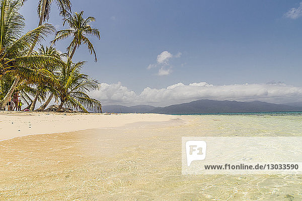 The beautiful Island Pelicano in the San Blas Islands Kuna Yala Panama
