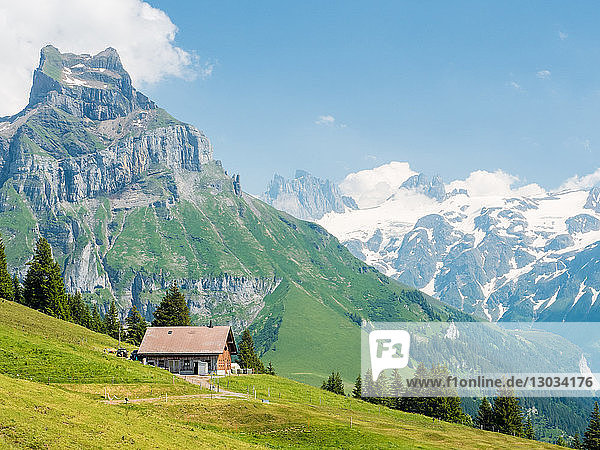 Swiss Alps  mountain scene  Switzerland