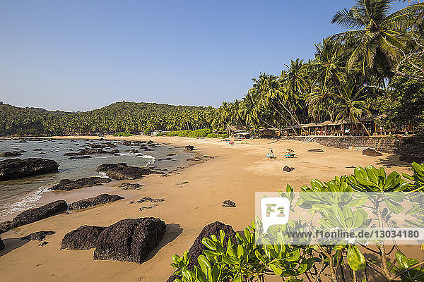 Kokolom Strand  Goa  Indien