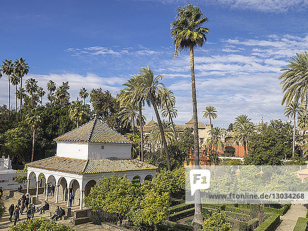 Die Gärten des Königspalastes  Sevilla  Andalusien  Spanien