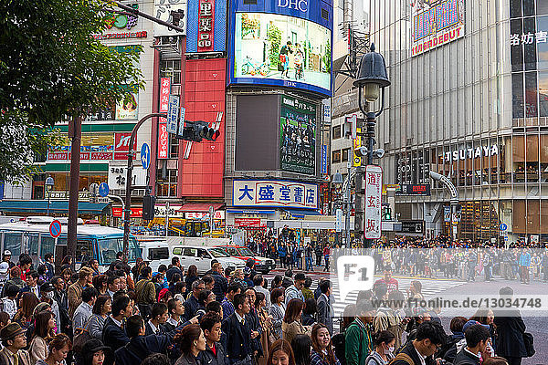 Crowds wating to cross the Shibuya Crossing  Tokyo  Japan