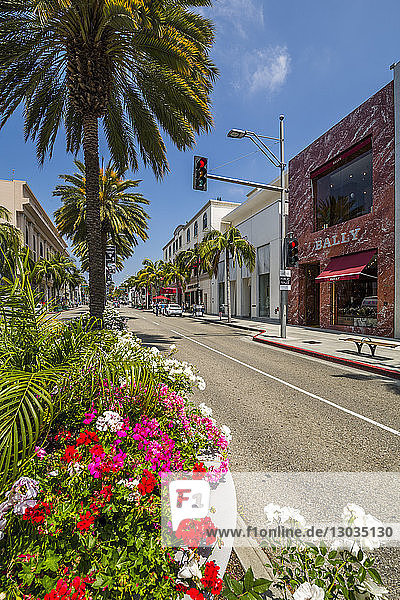 View of shops on Rodeo Drive  Beverly Hills  Los Angeles  California  United States of America