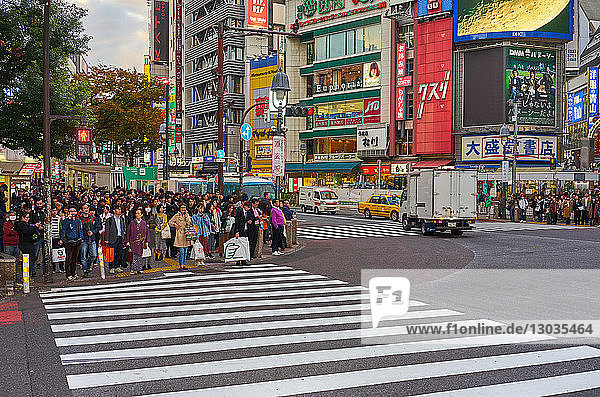 Menschenmassen  die die Shibuya-Kreuzung überqueren wollen  Tokio  Japan