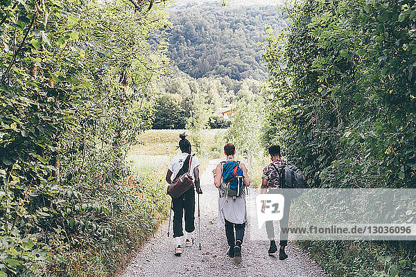 Three young adult hikers on dirt track  rear view   Primaluna  Trentino-Alto Adige  Italy
