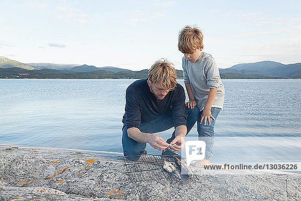 Boy and father preparing fish to grill on inlet rock  Aure  More og Romsdal  Norway