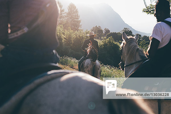 Junge Erwachsene beim Reiten auf dem Land  Rückansicht im Ausschnitt  Primaluna  Trentino-Südtirol  Italien