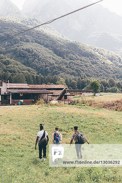 Junge erwachsene Wanderer wandern über das Feld  Rückansicht  Primaluna  Trentino-Südtirol  Italien