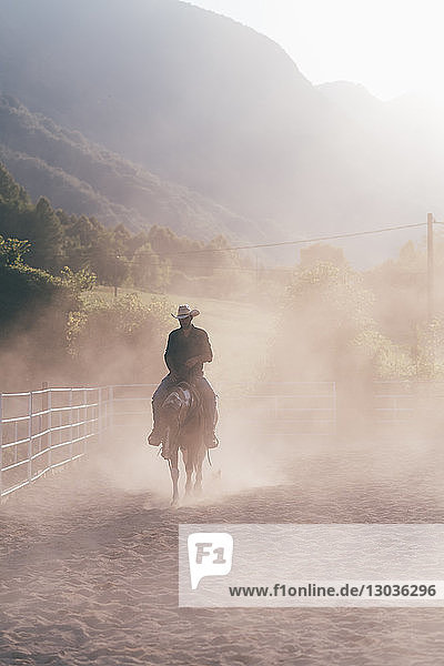 Cowboy-Reitpferd in staubiger Reithalle  Primaluna  Trentino-Südtirol  Italien
