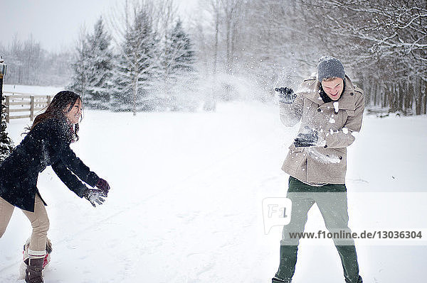 Young couple having snowball fight in snow covered forest  Ontario  Canada