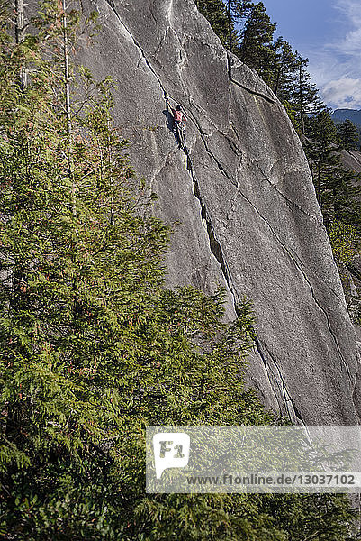 Bergsteiger beim Erklimmen von Felsen am Malamute  Squamish  Kanada