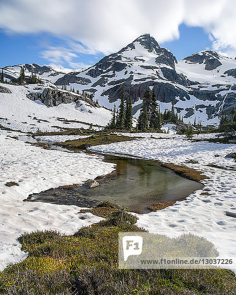 A creek formed from snow melt runs out from beneath a snow field as Locomotive Mountain can be seen towering above. This is a popular area for backpacking due to its beautiful views and relatively easy access from a logging road â€ Pemberton  British Columbia  Canada