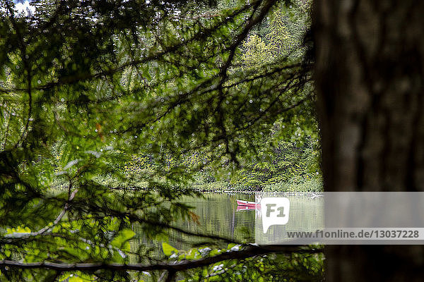 Distant view of a man in a canoe in Mosquito Lake  Pemberton  British Columbia  Canada
