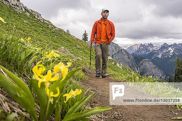A man hiking past avalanche lilies in front of the Early Winter Spires  Maple Pass Loop Hike  North Cascades National Park  Mazama  Washington State  USA