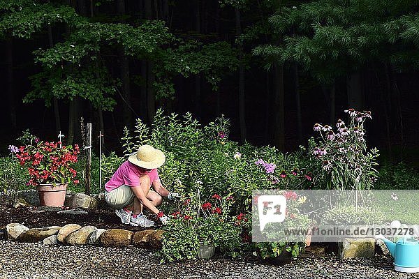 Blick auf eine alleinstehende Frau  die sich um ihren Blumengarten kümmert