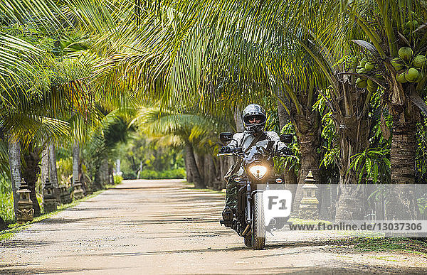 Frontansicht eines Mannes  der auf einem Motorrad eine Straße mit vielen Palmen an den Seiten entlang fährt  Bangkok  Thailand