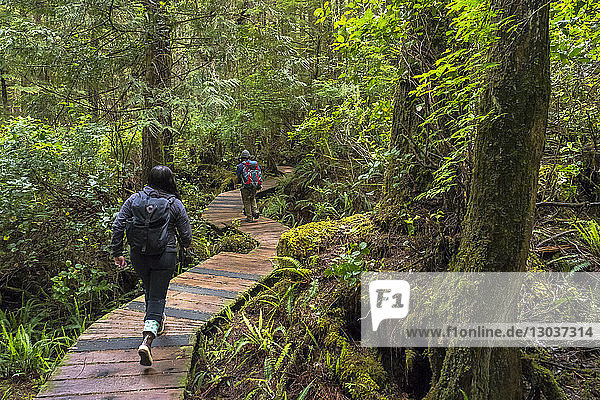 Two people walk down a boardwalk through a lush green forest back to the boat after enjoying time at the hot springs at Hot Springs Cove in Tofino  British Columbia  Canada
