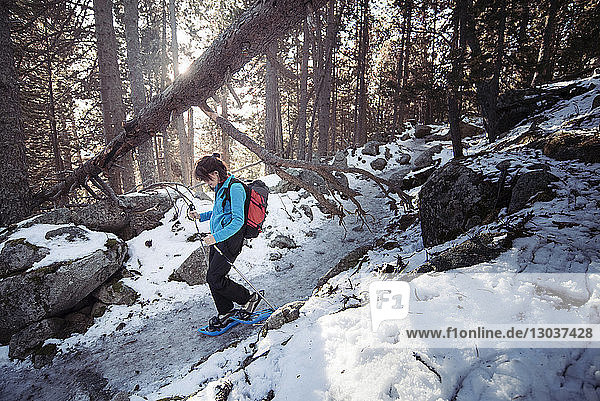 Side view shot of a woman snowshoeing in a forest in winter