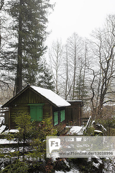 Holzhaus bei Bäumen im Wald im Winter