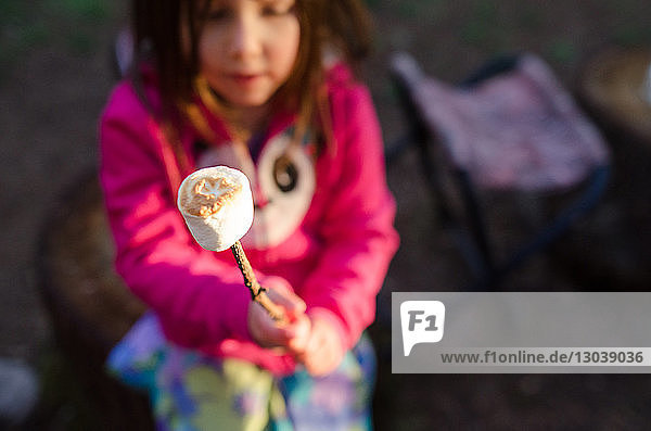 Schrägaufnahme eines Mädchens  das Marshmallows am Stock hält  während es auf einem Campingplatz sitzt
