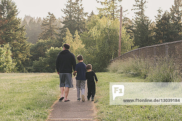 Rückansicht von Vater und Söhnen  die auf einem Fußweg inmitten eines Grasfeldes gegen Bäume laufen