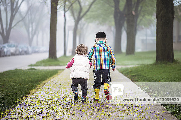 Rear view of siblings walking on walkway amidst field during foggy weather