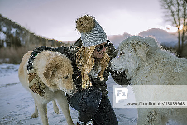 Happy woman stroking dogs while crouching on snowy field against sky during sunset