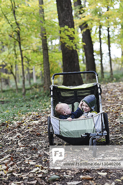 Kleinkind spielt mit seinem Bruder  der im Herbst im Kinderwagen im Park sitzt