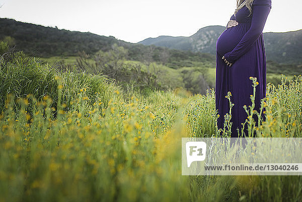 Mittelsektion einer schwangeren Frau  die den Bauch berührt  während sie auf einem Grasfeld im Park steht