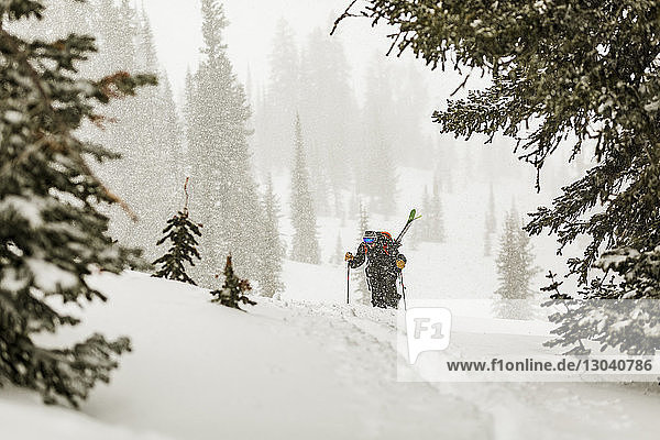 Mann mit Skiern geht auf schneebedecktem Feld im Wald