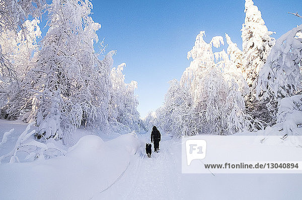 Rückansicht eines Mannes  der mit einem Hund auf einem schneebedeckten Feld spazieren geht  gegen den Himmel