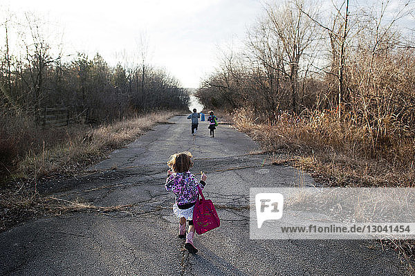 Rear view of siblings walking on road amidst trees