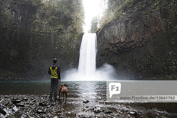 Rear view of man with dog looking at waterfall