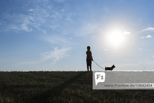 Junge mit Hund steht bei Sonnenschein auf Grasfeld gegen den Himmel