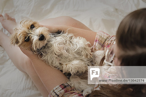 Schrägaufnahme eines Teenager-Mädchens  das zu Hause auf dem Bett mit dem Yorkshire Terrier spielt
