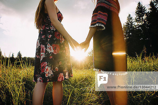 Mitschnitt eines lesbischen Paares  das während des Sonnenuntergangs auf einem Grasfeld steht und Händchen hält