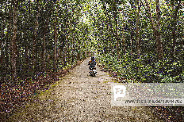 Rear view of man riding motor scooter on road amidst trees at forest